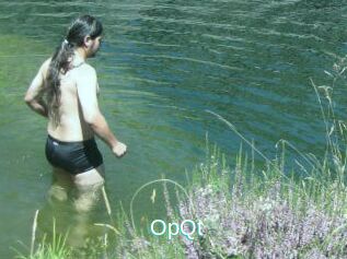 OpQt