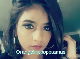 OrangeHippopotamus
