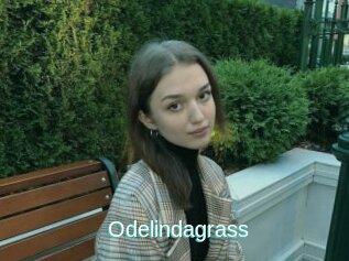 Odelindagrass