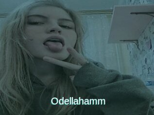 Odellahamm