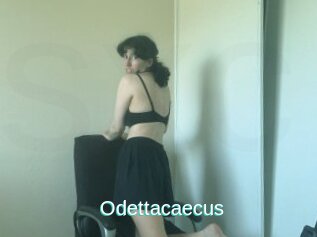 Odettacaecus