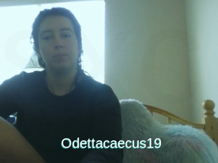 Odettacaecus19