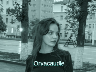 Orvacaudle