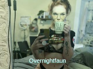 Overnightfaun