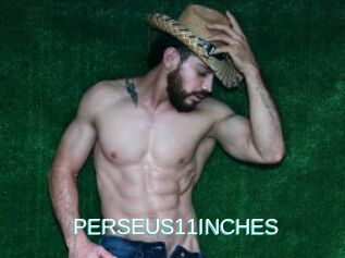 PERSEUS11INCHES