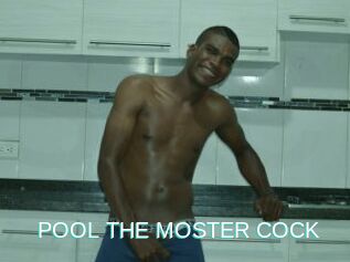 POOL_THE_MOSTER_COCK