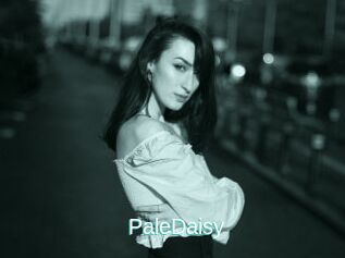 PaleDaisy