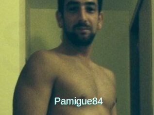 Pamigue84