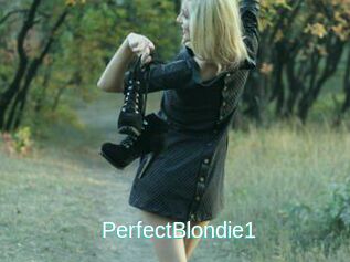 PerfectBlondie1