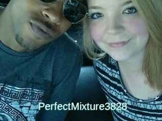 PerfectMixture3828