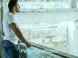PerfectguyRobert