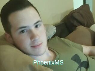 PhoenixMS