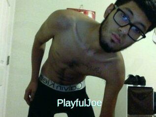 PlayfulJoe