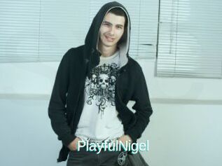 PlayfulNigel