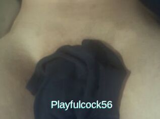 Playfulcock56