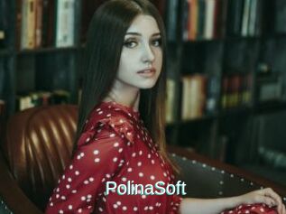 PolinaSoft
