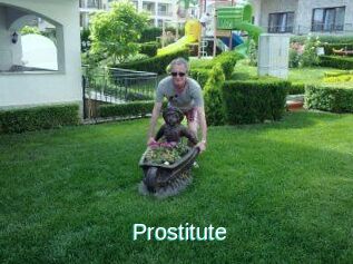 Prostitute