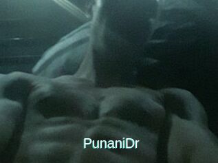 PunaniDr
