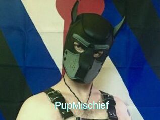PupMischief