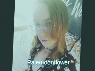 Palemoonflower