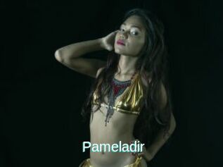 Pameladir