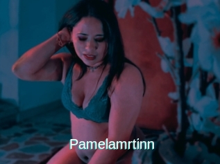 Pamelamrtinn