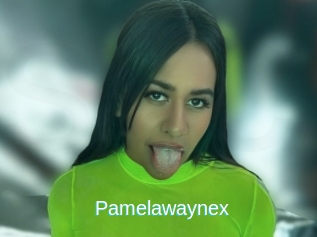 Pamelawaynex