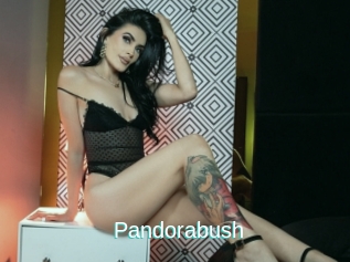 Pandorabush