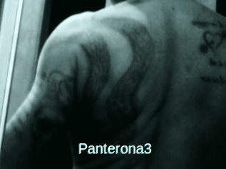 Panterona3