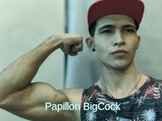 Papillon_BigCock