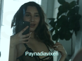 Paynadiavixen
