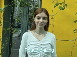 Peacefenning