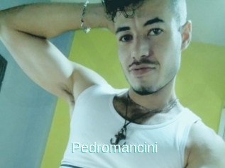 Pedromancini