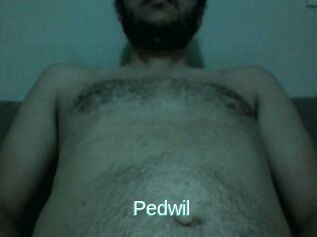 Pedwil