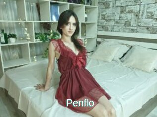 Penflo
