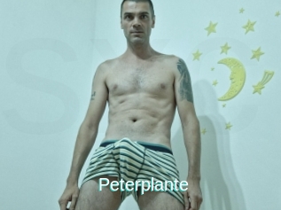 Peterplante