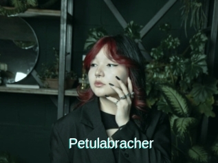 Petulabracher