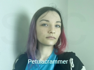 Petulacrammer