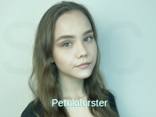 Petulaforster
