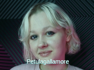 Petulagallamore