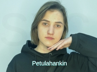 Petulahankin