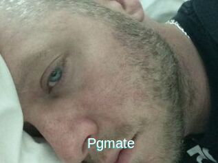 Pgmate