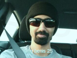 Pig_benis_25