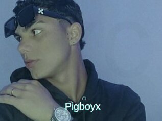 Pigboyx