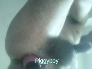 Piggyboy