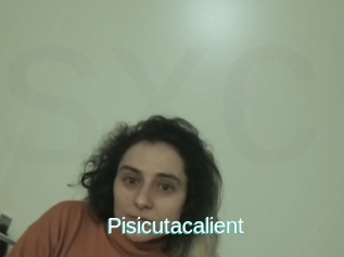 Pisicutacalient