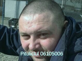 Pituliciul-06105006