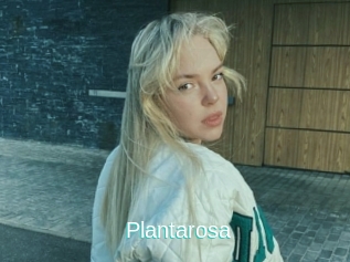 Plantarosa