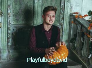 Playfulboydavid