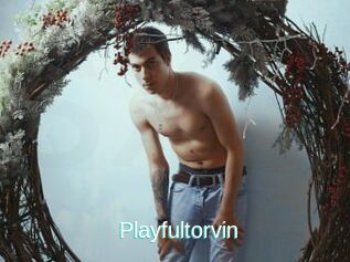 Playfultorvin